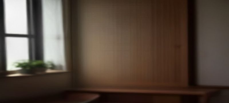 中文互联网内容平台发展时间轴示意图，展示猫咪av词条从日文语境传入中文社区的传播路径，时间跨度2010至2026年